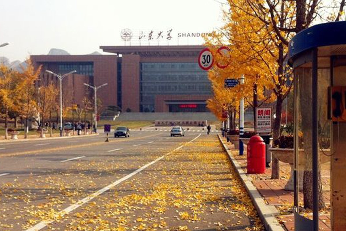 A quiet tree-lined road covered with autumn leaves beside campus buildings.